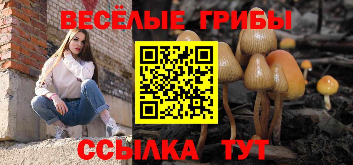 Звенигород  Псилоцибиновые грибы мицелий  Вход с VPN 