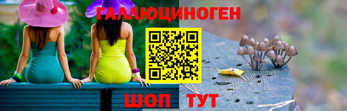 Псилоцибиновые грибы мицелий Звенигород